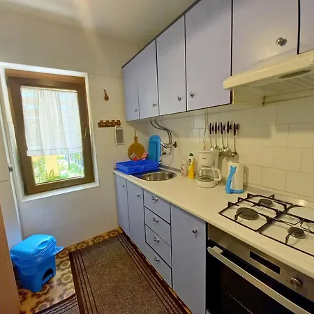 Boutique In Pjescana Uvala With Balcony Apartamento Vintijan
