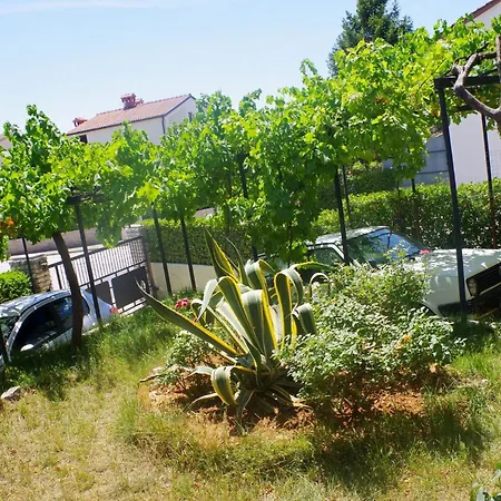 Apartamento Boutique In Pjescana Uvala With Balcony Vintijan
